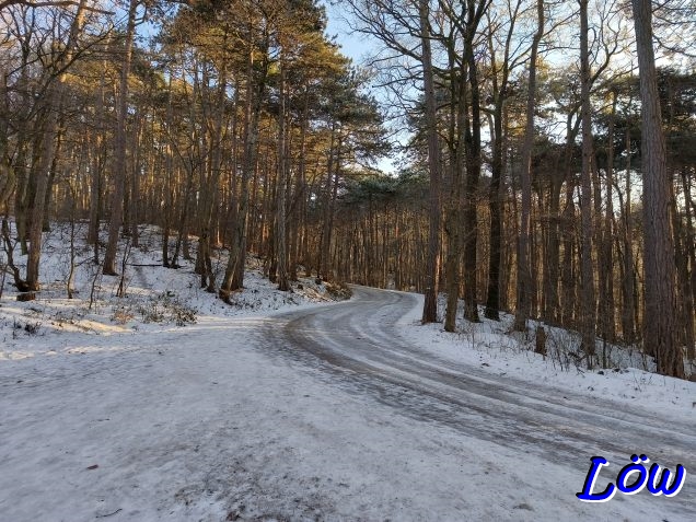 19.1.2026 - H&ouml;henstrasse Richtung Kuhheide